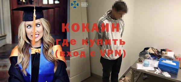 ГАЛЛЮЦИНОГЕННЫЕ ГРИБЫ Вяземский