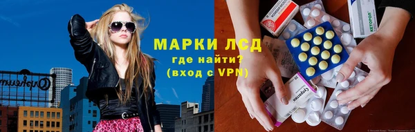 ГАЛЛЮЦИНОГЕННЫЕ ГРИБЫ Вяземский