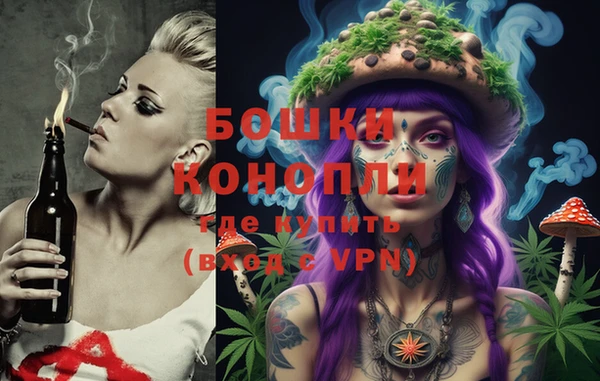 ГАЛЛЮЦИНОГЕННЫЕ ГРИБЫ Вяземский