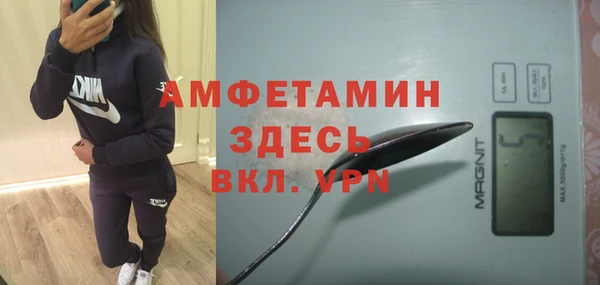 ГАЛЛЮЦИНОГЕННЫЕ ГРИБЫ Вяземский