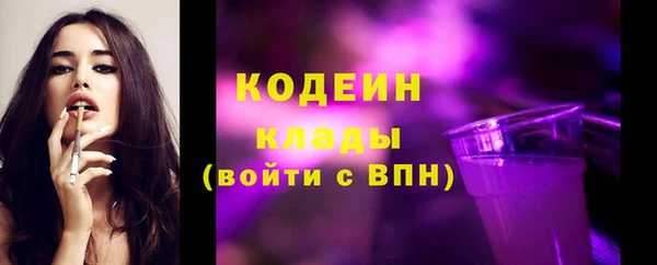 ГАЛЛЮЦИНОГЕННЫЕ ГРИБЫ Вяземский
