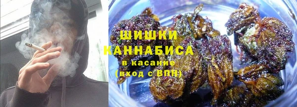 ГАЛЛЮЦИНОГЕННЫЕ ГРИБЫ Вяземский