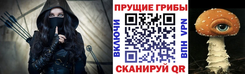 Купить где  Чехов  Псилоцибиновые грибы MAGIC MUSHROOMS 