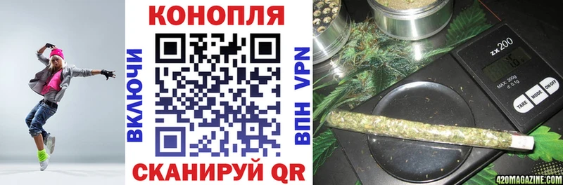Купить закладки  Чехов  Каннабис сатива 